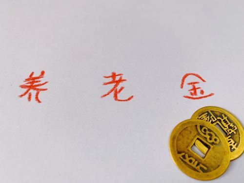 养老保险,养老金